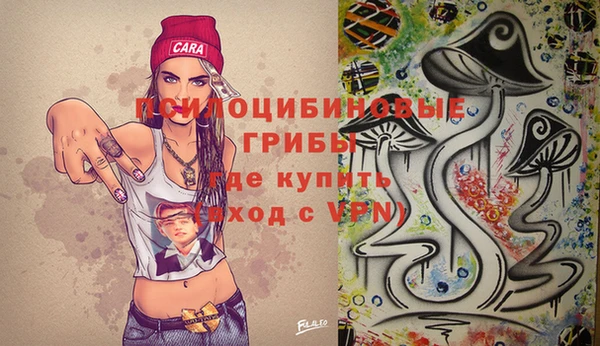 PSILOCYBIN Краснослободск