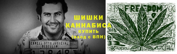 спиды Краснослободск