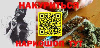 индика Моздок