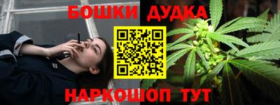 индика Моздок