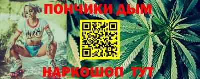индика Моздок
