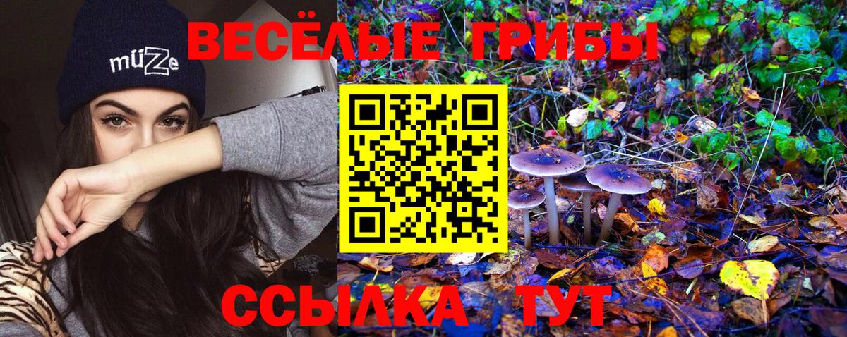 Псилоцибиновые грибы ЛСД  Вход с VPN  Галлюциногенные грибы мухоморы  Шебекино 