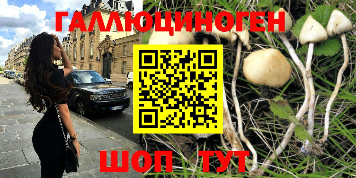 наркошоп  Псилоцибиновые грибы MAGIC MUSHROOMS  Шебекино  Галлюциногенные грибы Cubensis 